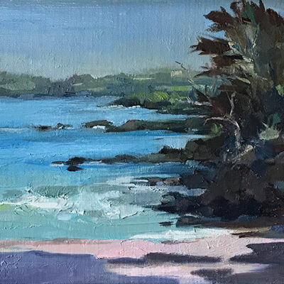 Fleming Beach Kapalua, Hawaii